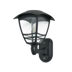 Alzir Outdoor LED Solar Wall Light, Black