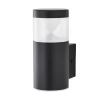 Asher Outdoor Wall Light, Black