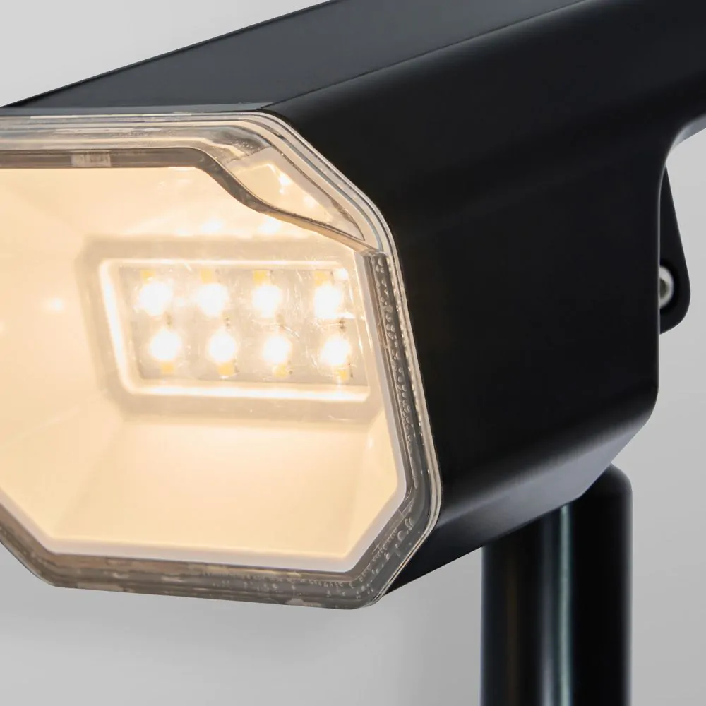 Danic LED Outdoor Solar Ground Spike Light, Black - Image 5