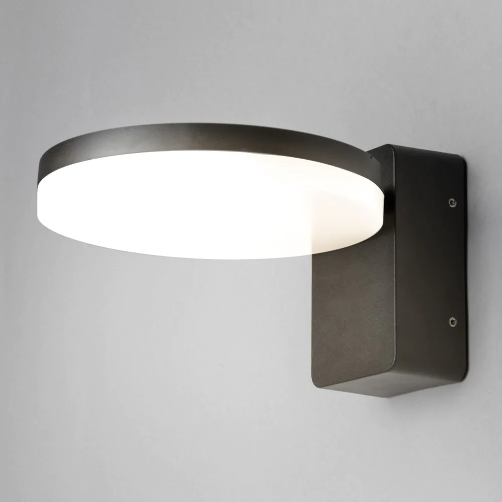 Huck Outdoor LED Wall Light, Black - Image 3