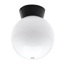 Westray Outdoor Globe Ceiling Light, Black