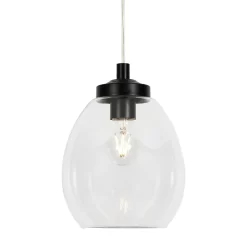 Zeta Clear Glass Bathroom Ceiling Pendant, Satin Black